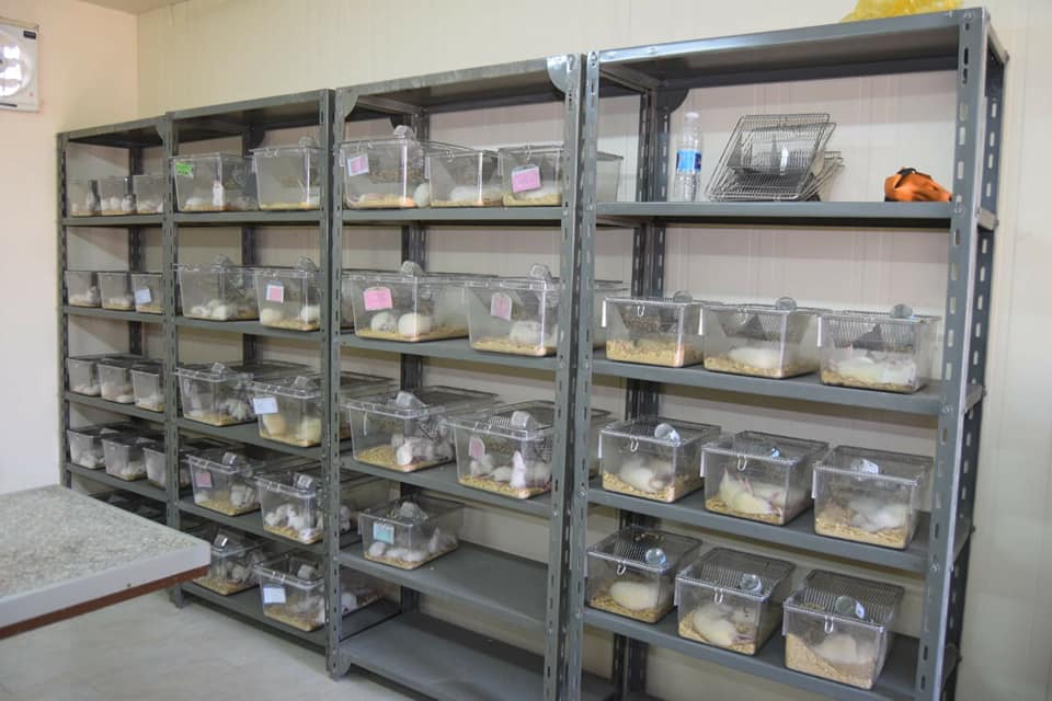 جامعة سوهاج تفتتح وحدة أبحاث تجارب الحيوانات بكلية الطب البشري