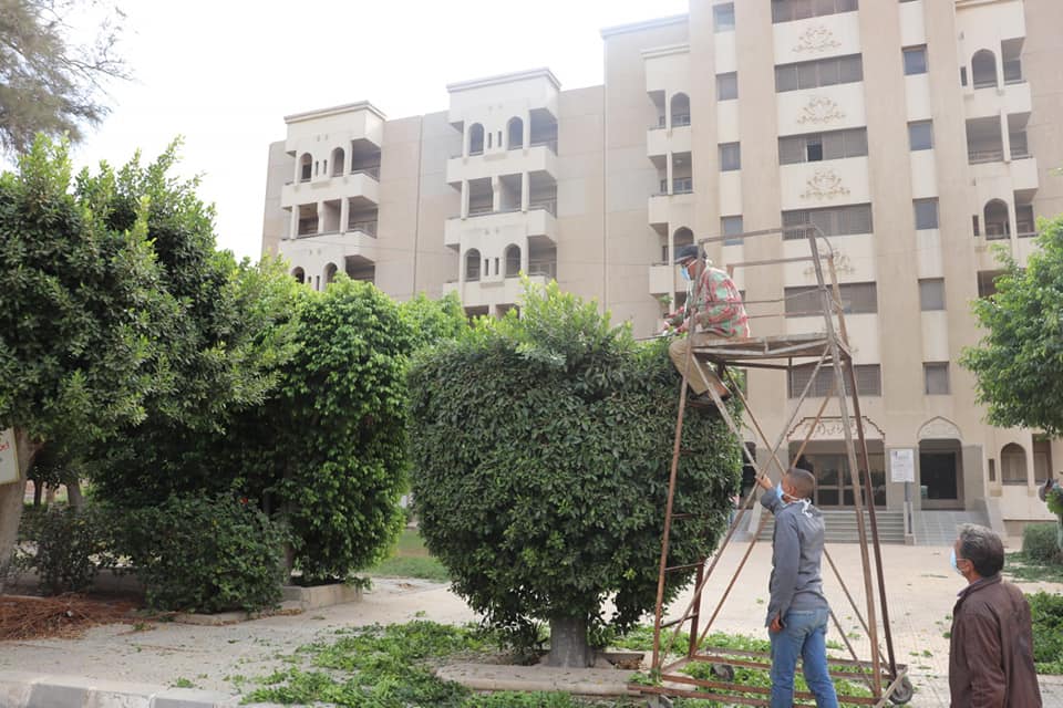 تجميل المدن الجامعية وتهذيب الأشجار والحدائق بجامعة الأزهر