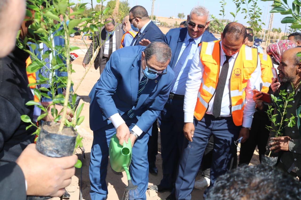 جامعة أسوان تتبنى مبادرة "هنجملها" بزراعة 1100 شجرة مثمرة لثمار الليمون