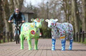 لتعريف الأطفال بتاريخ مدينتهم.. منحوتات فنية للأبقار تنتشر في أنحاء كامبريدج