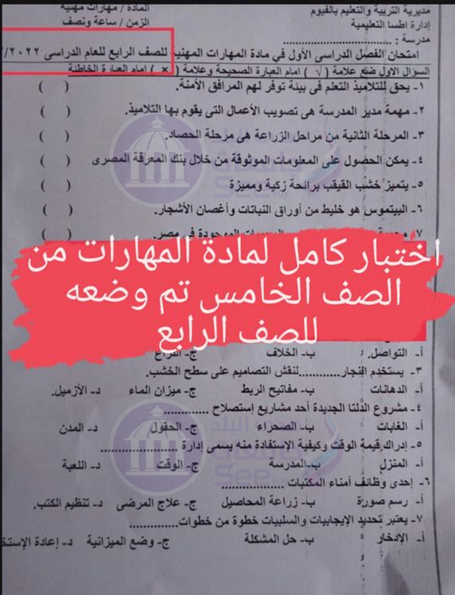 خبير تربوي: تبديل امتحان الرابع الابتدائي استهتار من مسئولي التعليم و تبريراتهم كارثية 