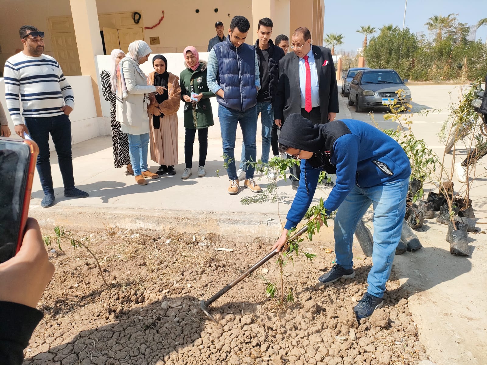 رئيس جامعة الأقصر: زراعة أشجار مثمرة داخل الحرم الجامعي للحفاظ على البيئة