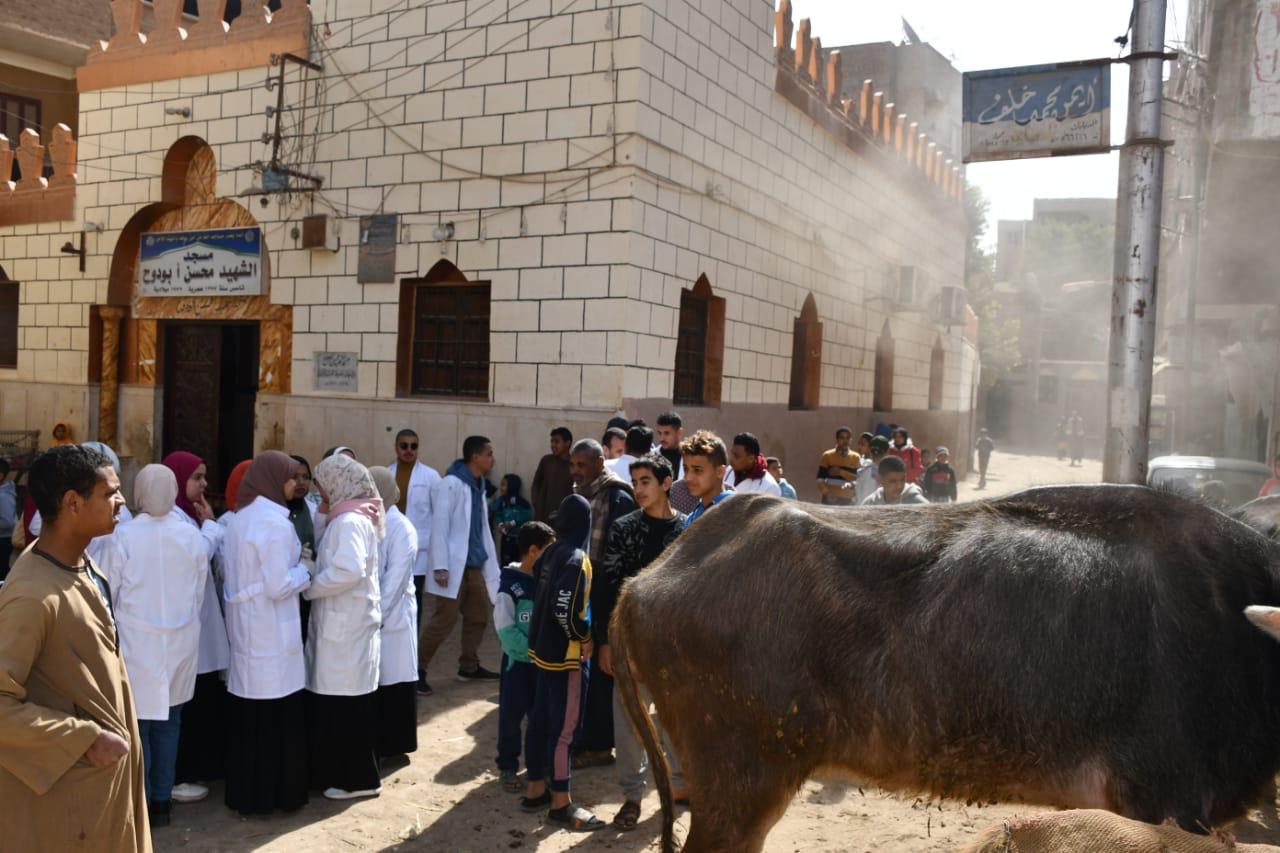 جامعة سوهاج تعالج ٣٦٥ حالة بقافلتها البيطرية لقرية الحواويش بالمجان