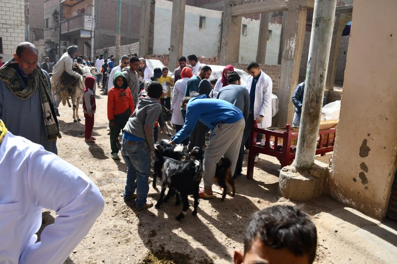 جامعة سوهاج تعالج ٣٦٥ حالة بقافلتها البيطرية لقرية الحواويش بالمجان